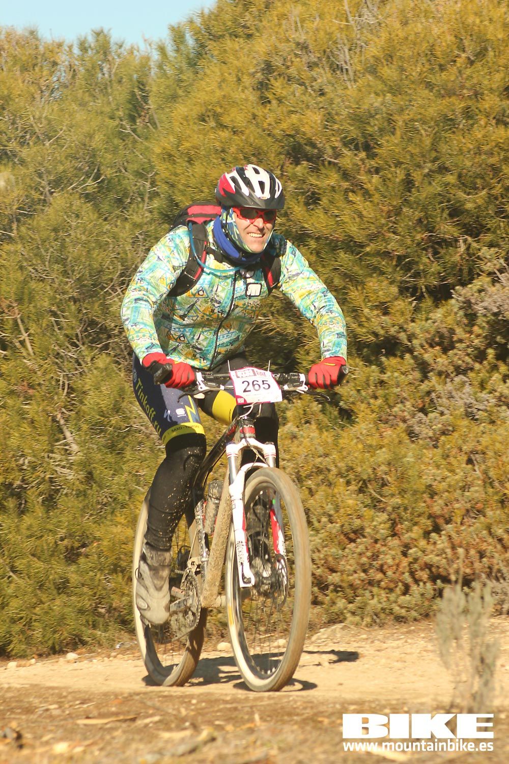Valdemorillo 2015 Galeria 3