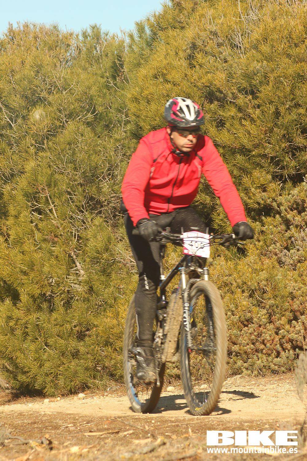 Valdemorillo 2015 Galeria 3