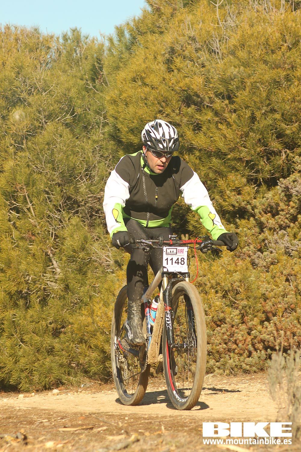 Valdemorillo 2015 Galeria 3