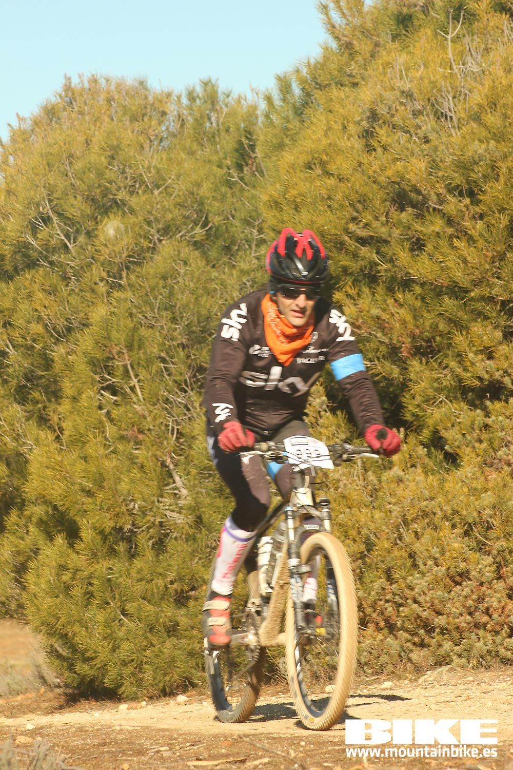 Valdemorillo 2015 Galeria 3