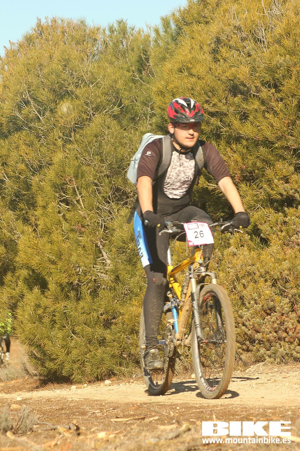 Valdemorillo 2015 Galeria 3