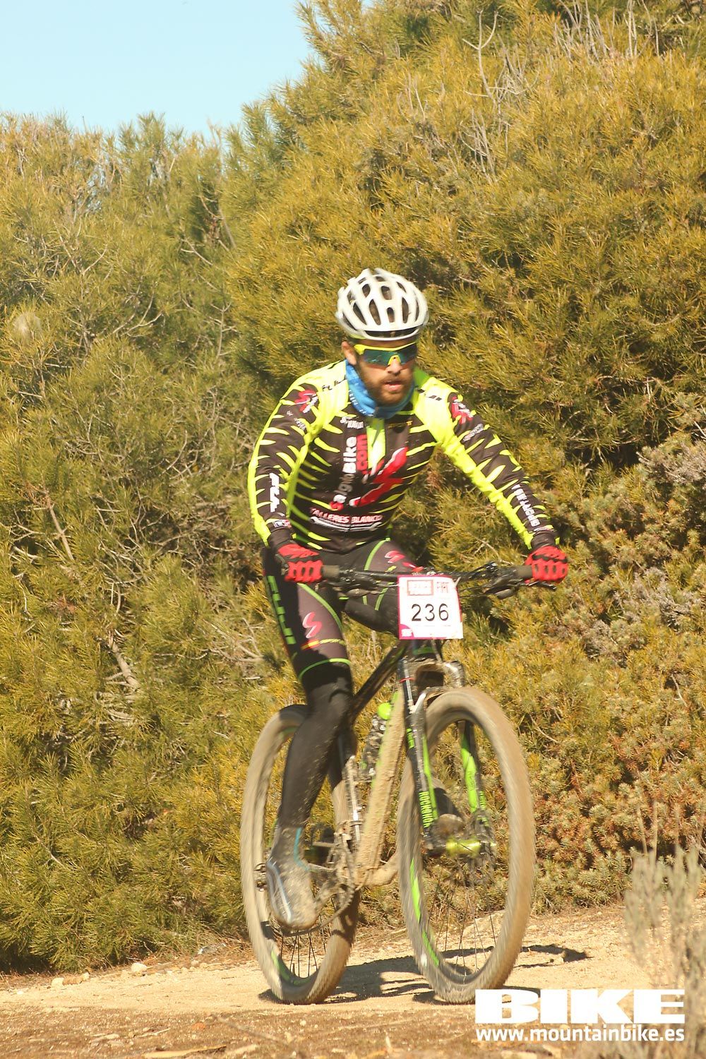 Valdemorillo 2015 Galeria 3