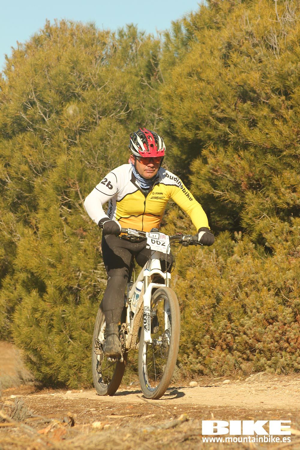 Valdemorillo 2015 Galeria 3