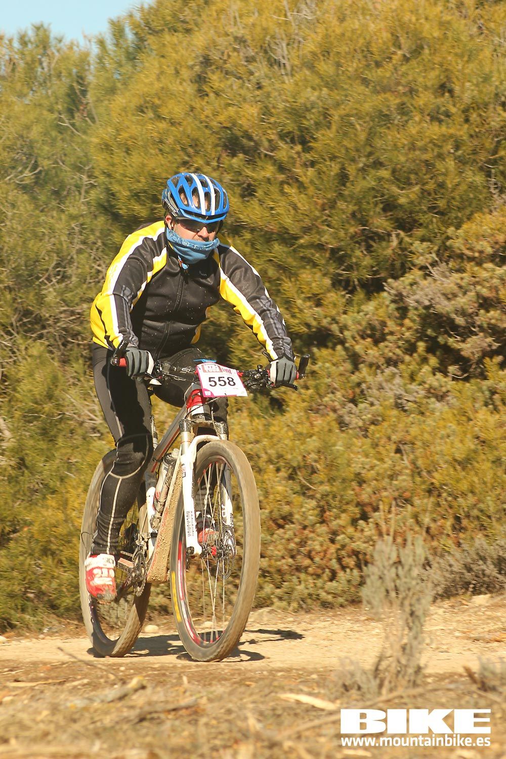Valdemorillo 2015 Galeria 3
