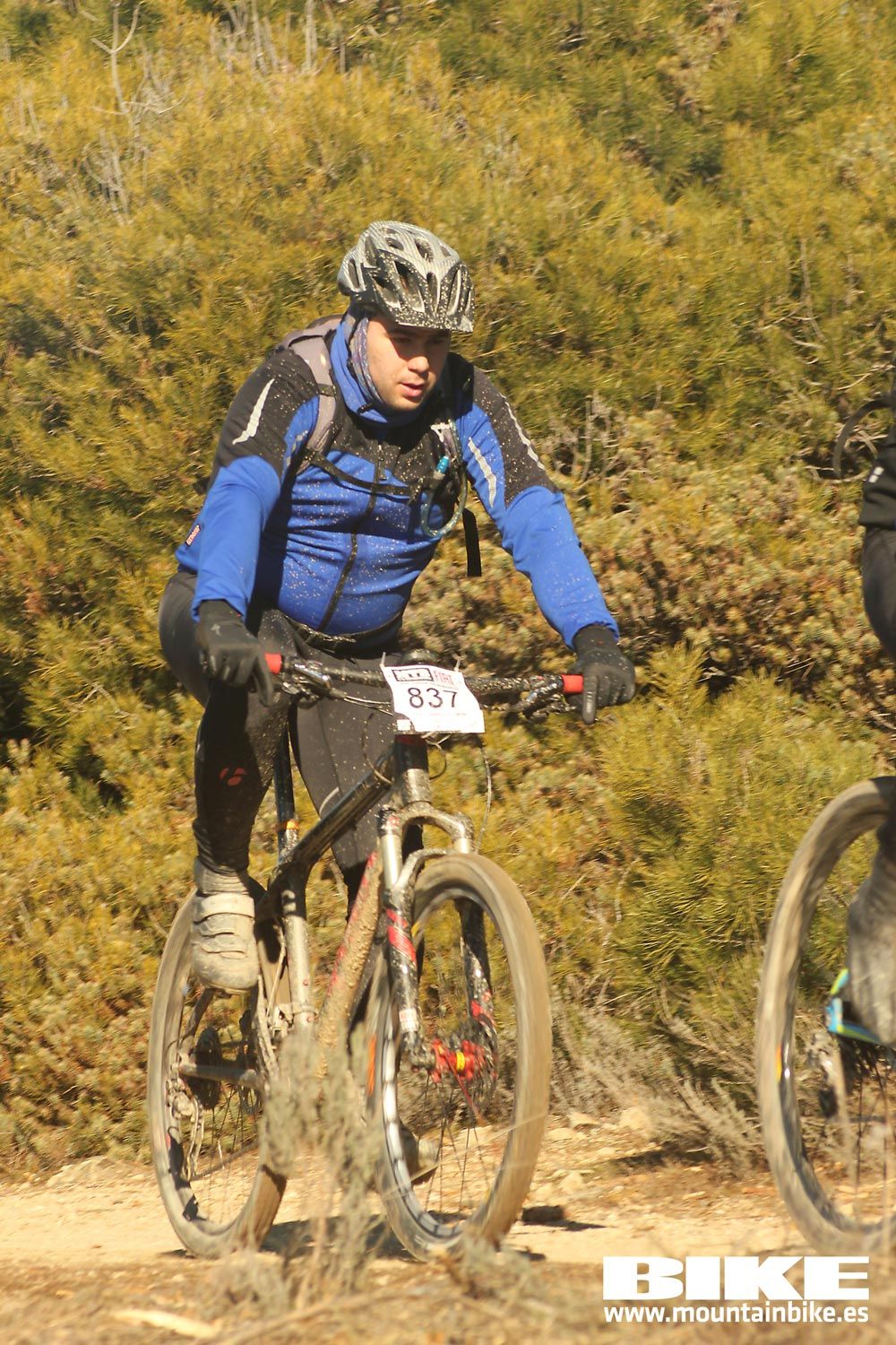 Valdemorillo 2015 Galeria 3