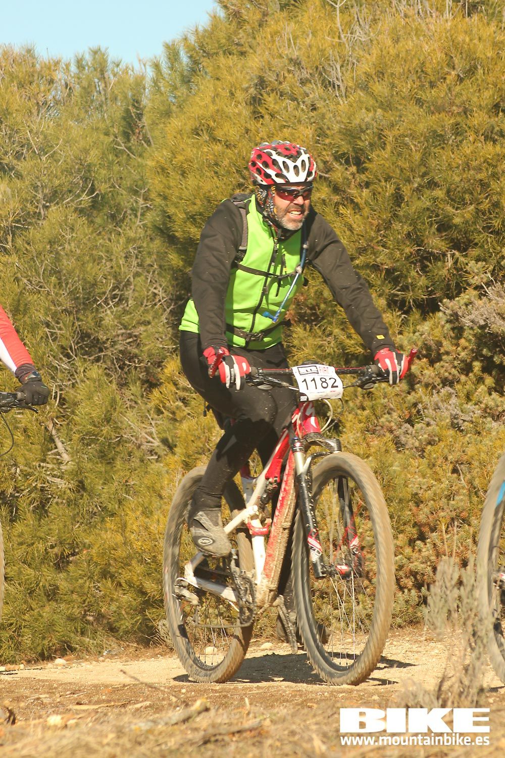 Valdemorillo 2015 Galeria 3