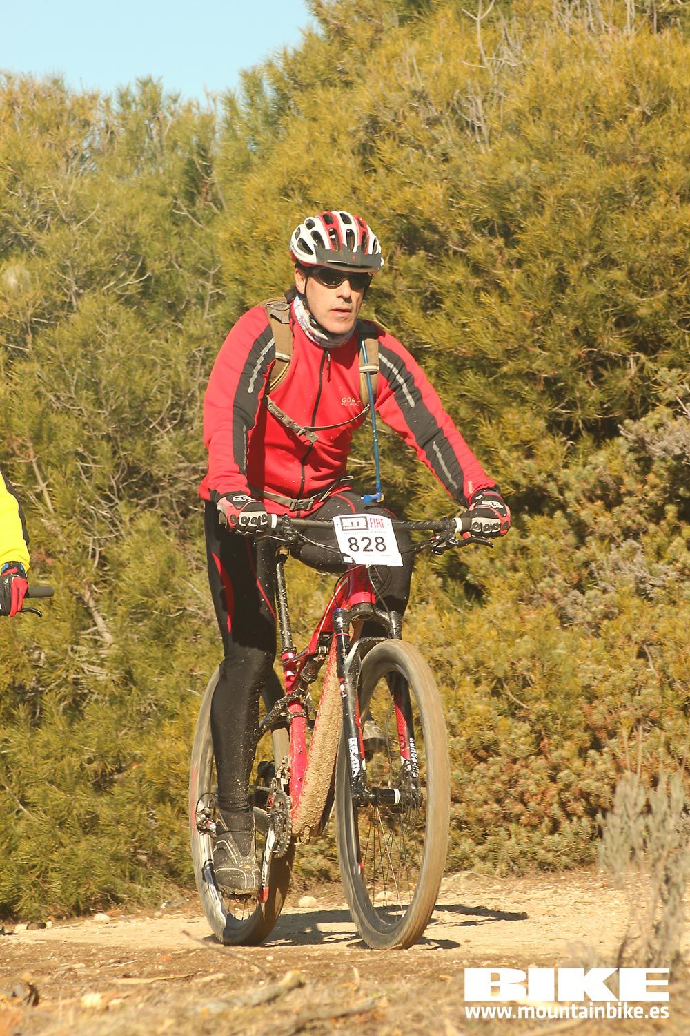 Valdemorillo 2015 Galeria 3