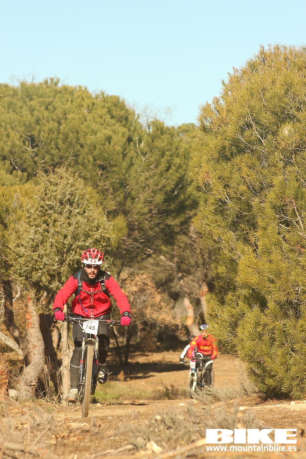 Valdemorillo 2015 Galeria 3