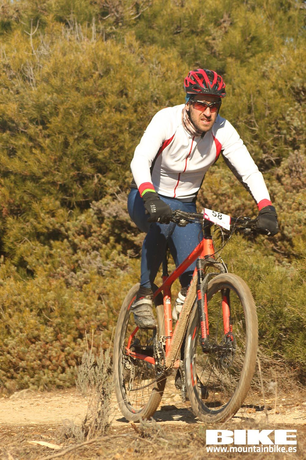 Valdemorillo 2015 Galeria 4