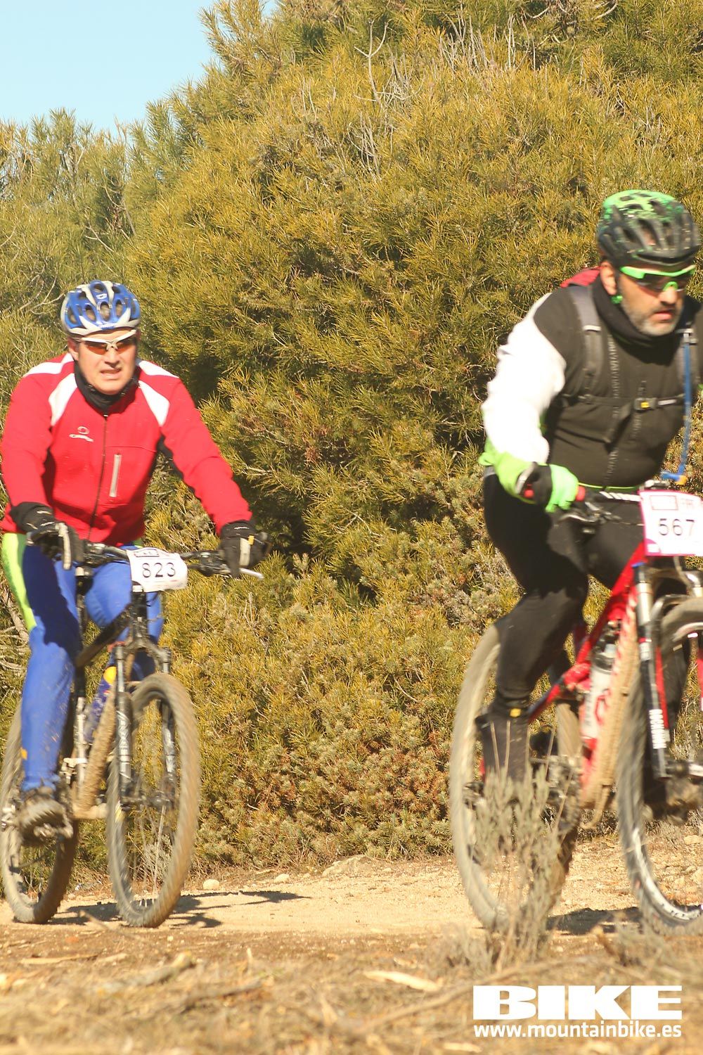 Valdemorillo 2015 Galeria 4