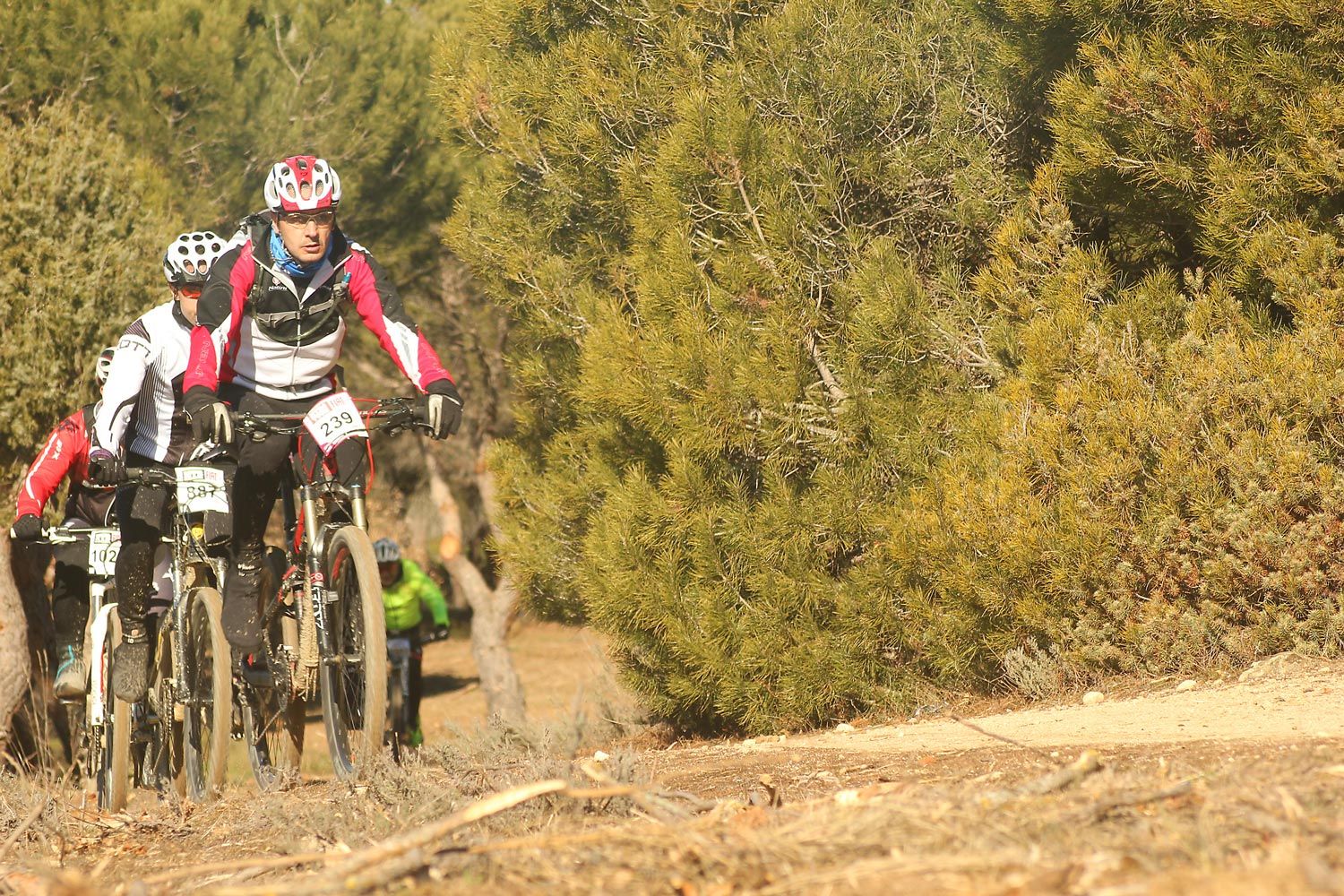 Valdemorillo 2015 Galeria 4