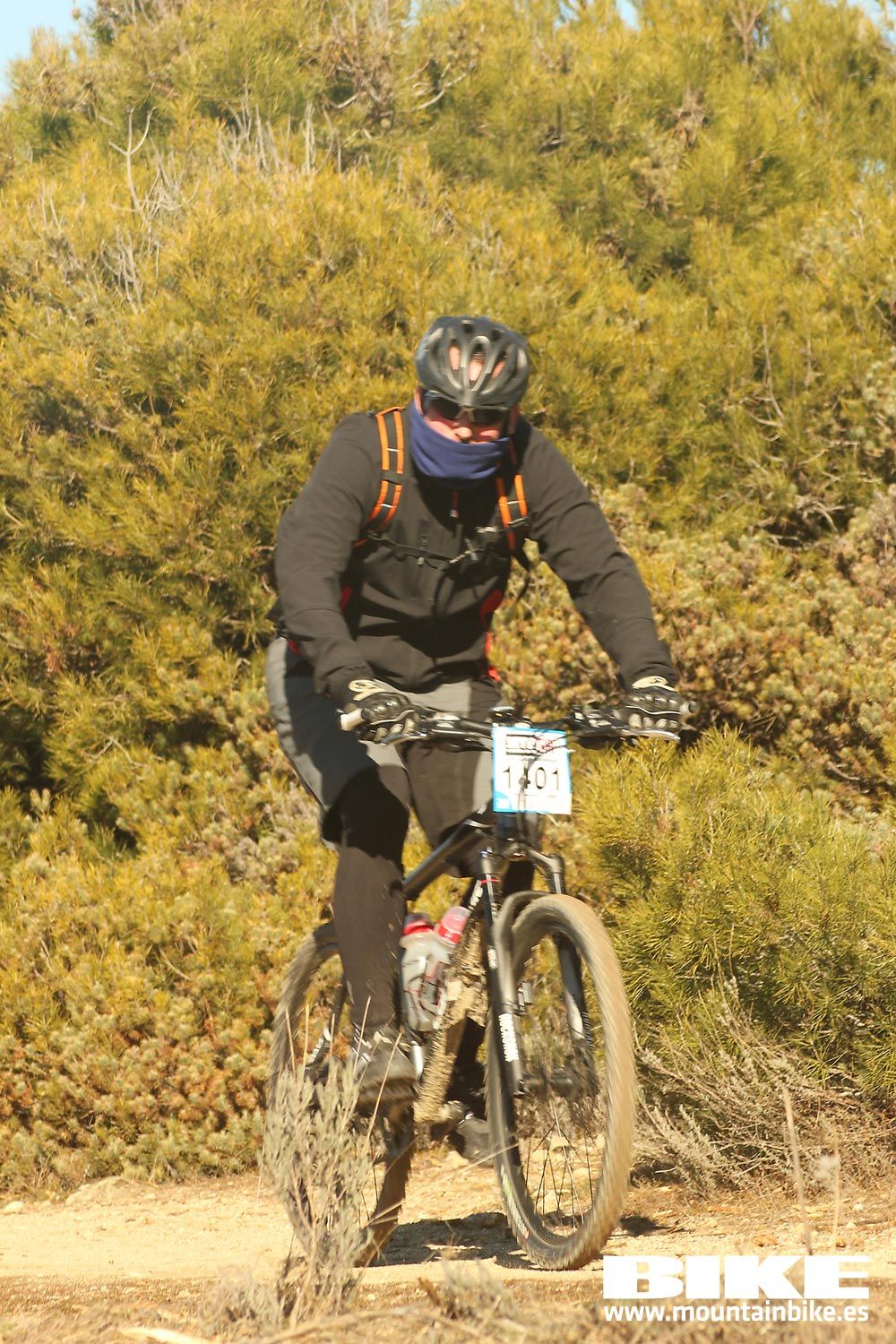 Valdemorillo 2015 Galeria 4