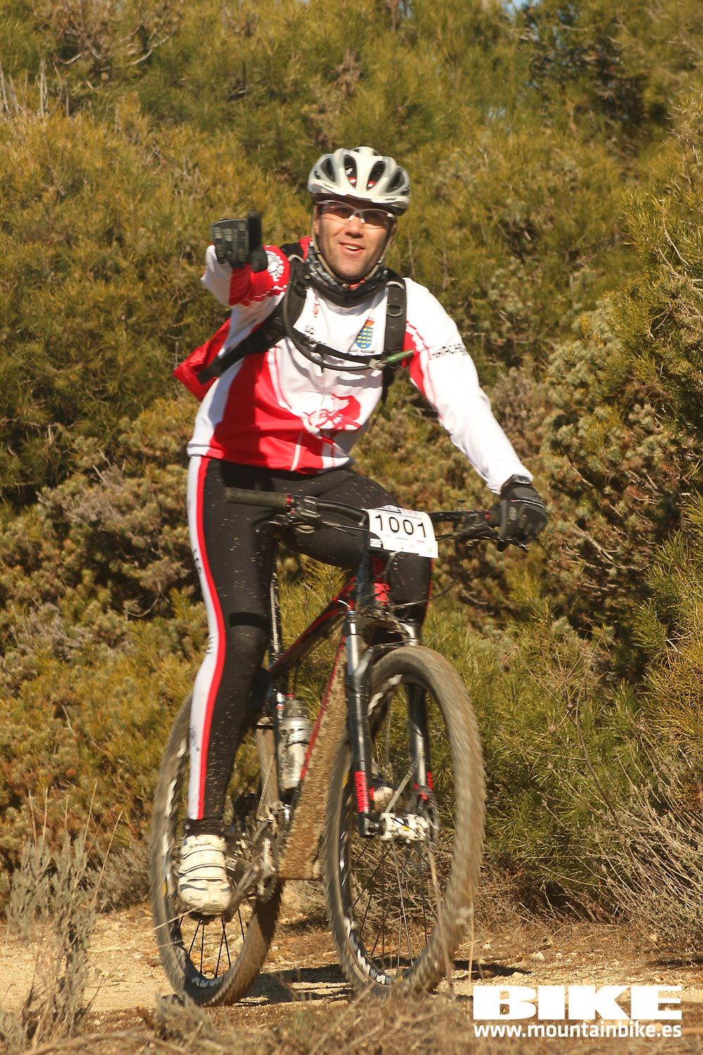 Valdemorillo 2015 Galeria 4