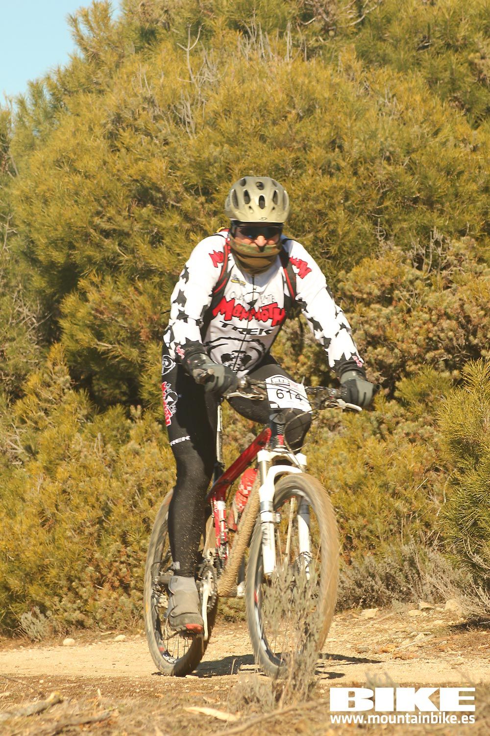 Valdemorillo 2015 Galeria 4