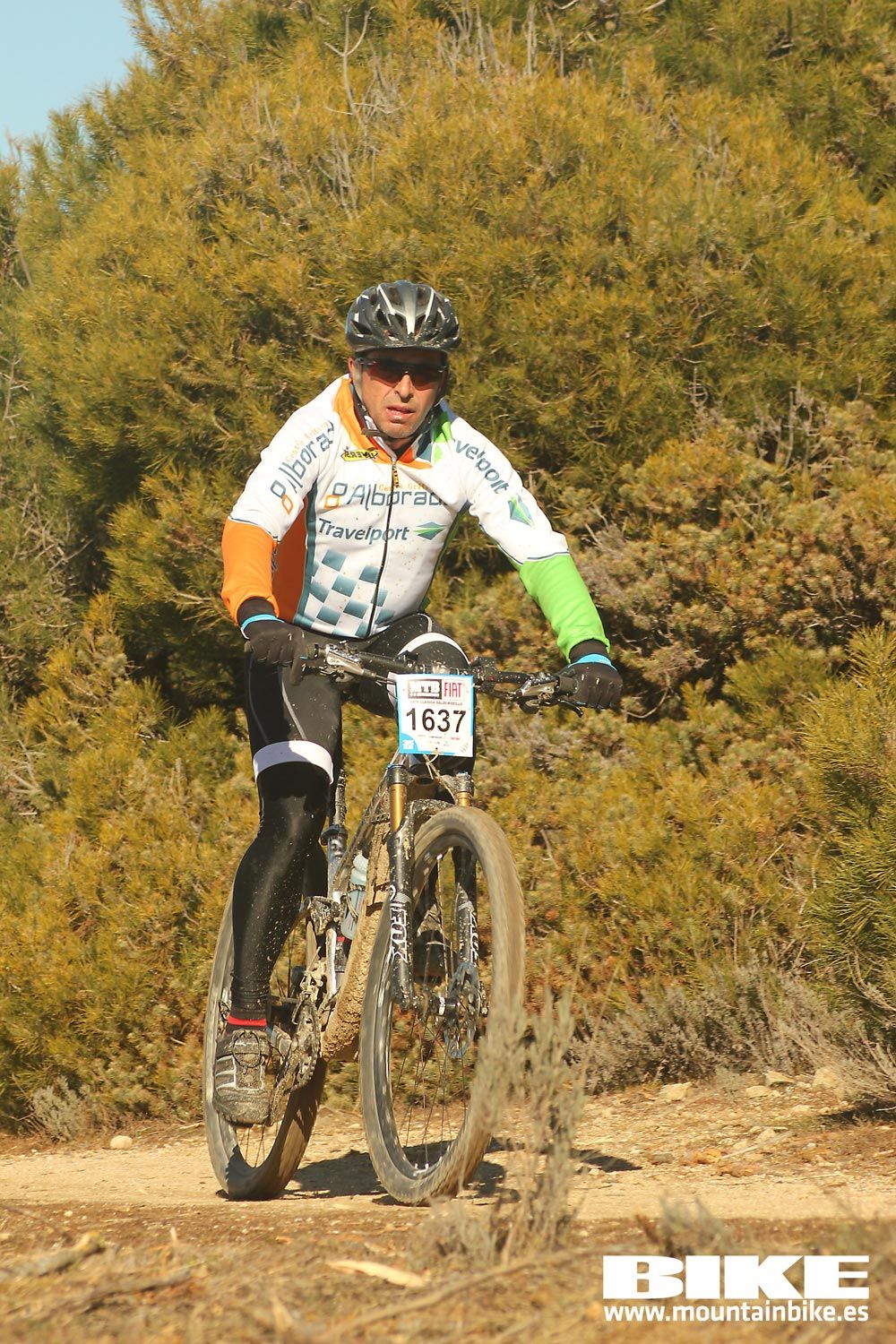 Valdemorillo 2015 Galeria 4