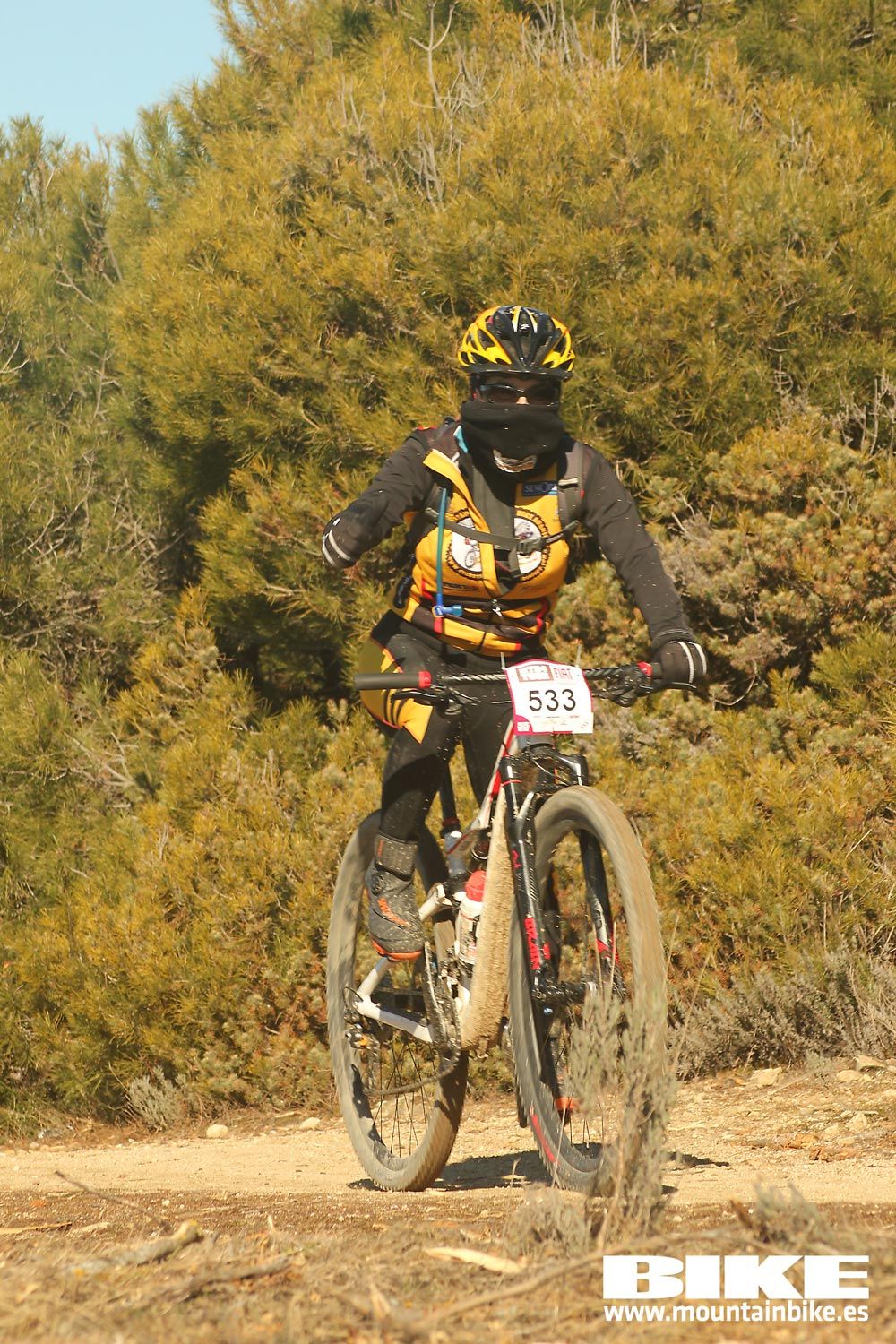 Valdemorillo 2015 Galeria 4