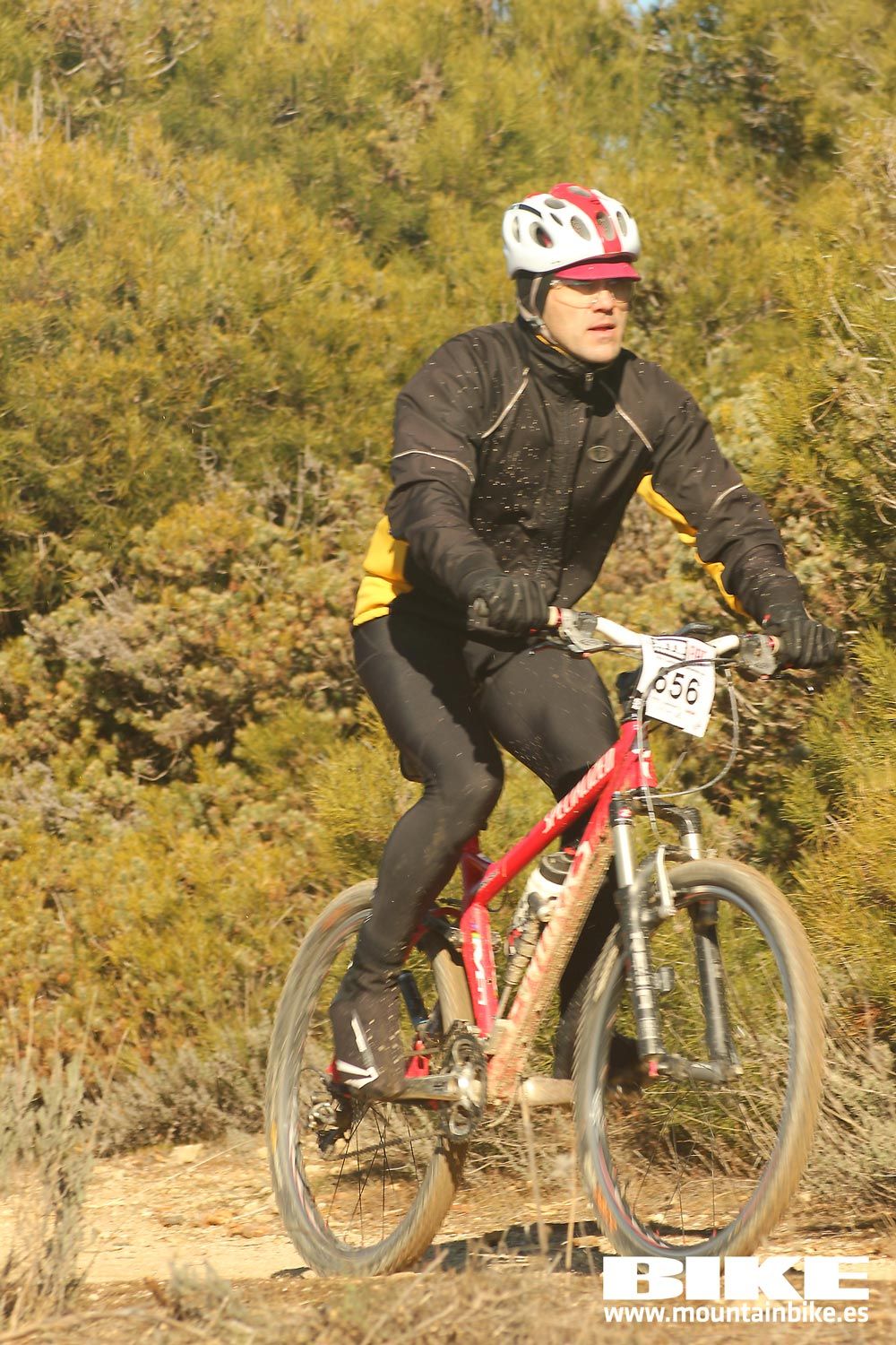 Valdemorillo 2015 Galeria 4