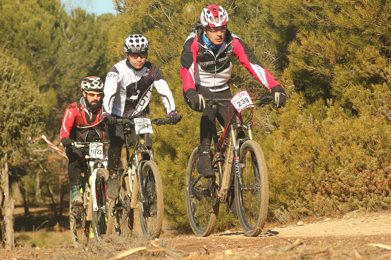 Valdemorillo 2015 Galeria 4