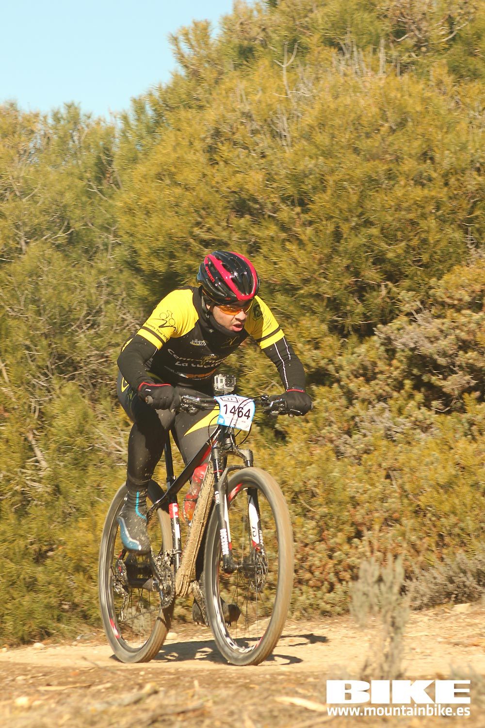 Valdemorillo 2015 Galeria 4