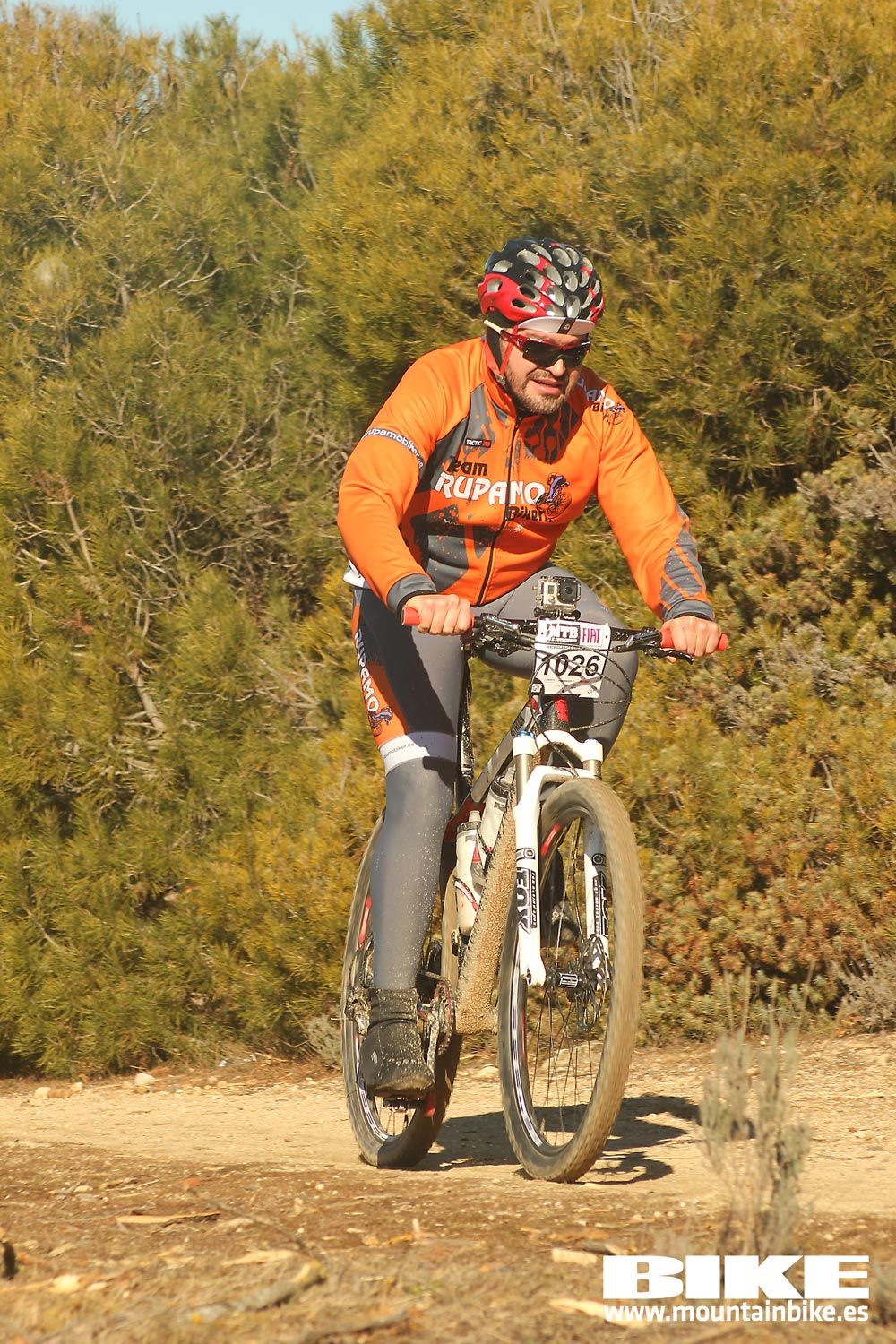 Valdemorillo 2015 Galeria 4