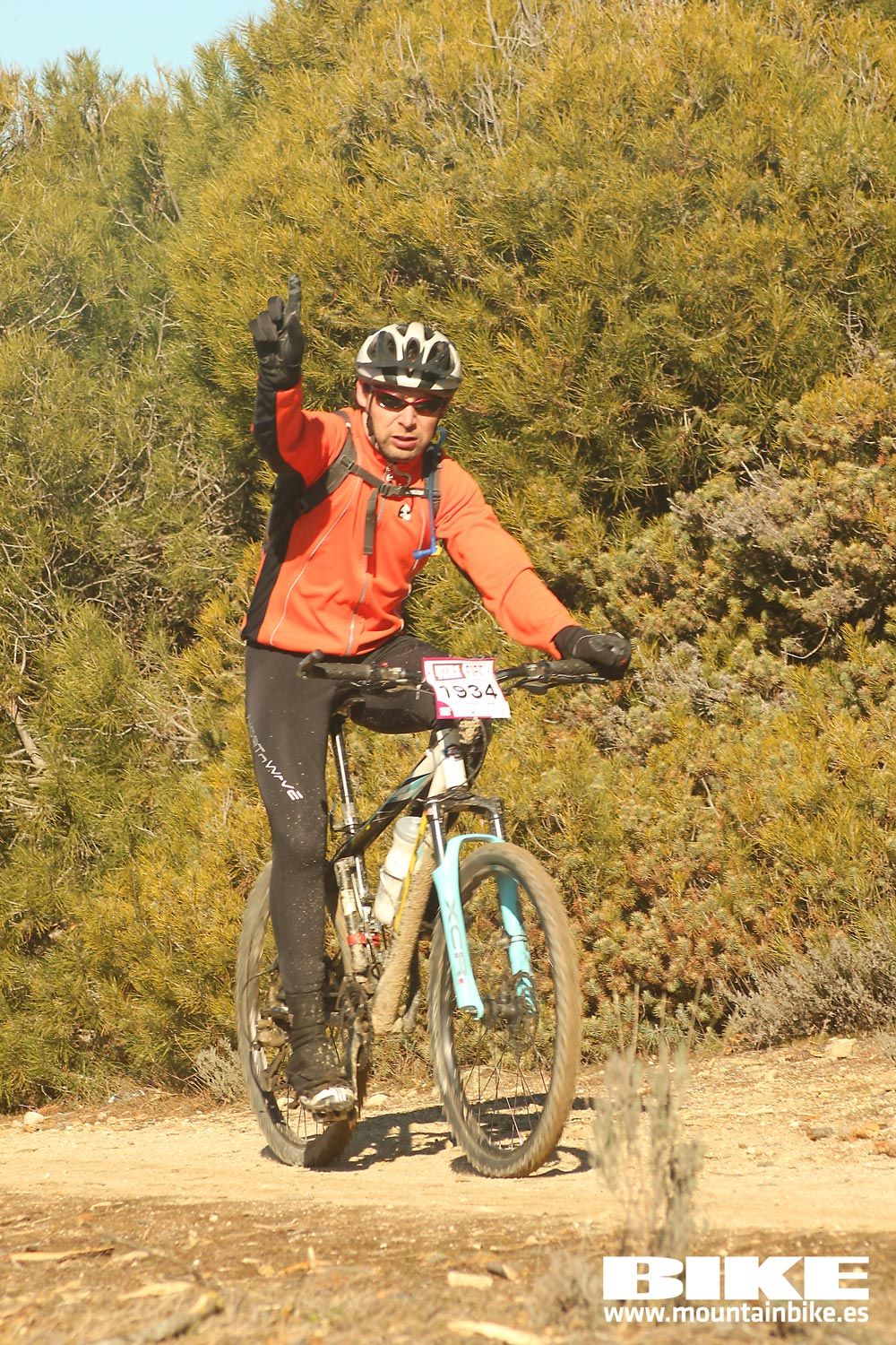 Valdemorillo 2015 Galeria 4