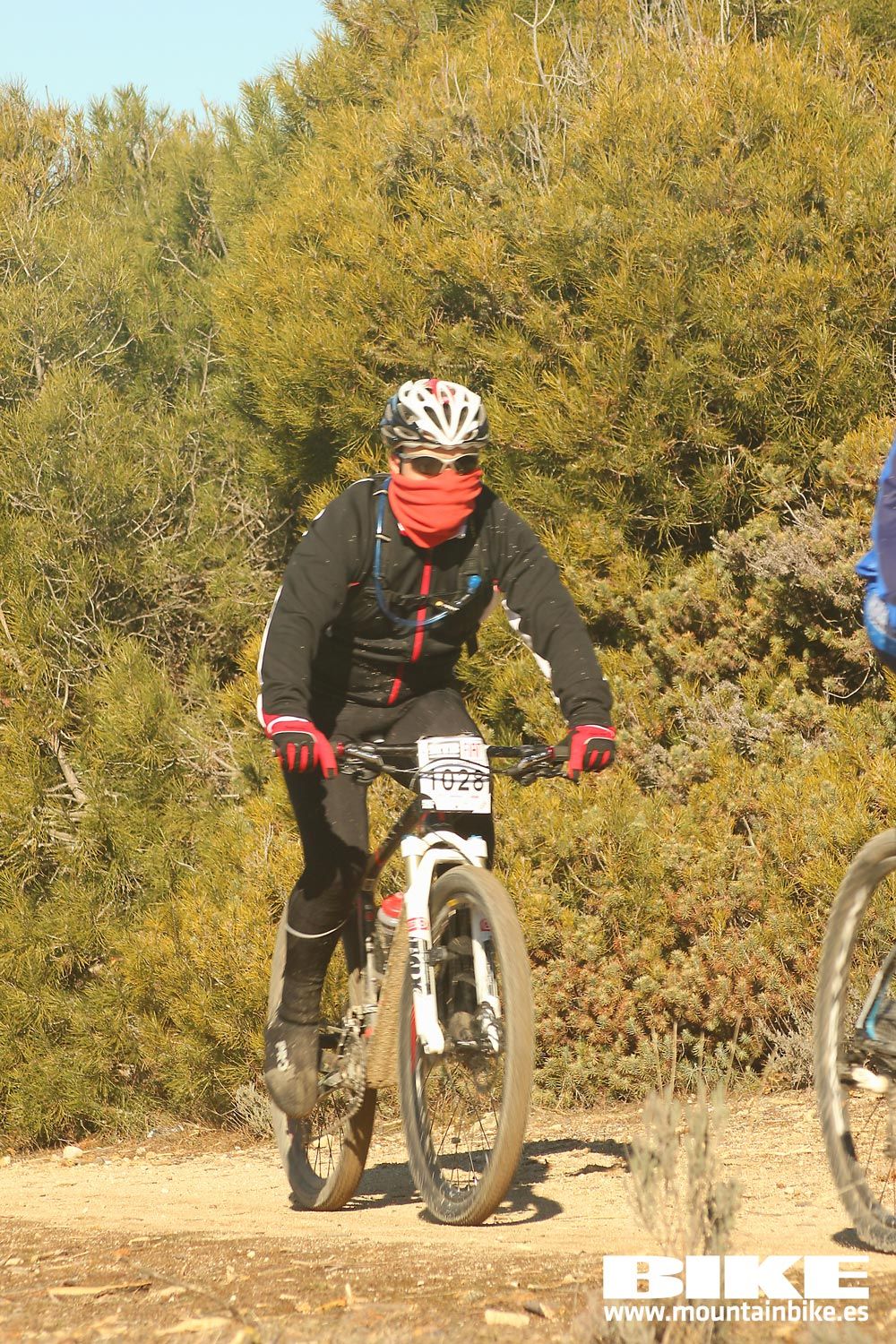 Valdemorillo 2015 Galeria 4