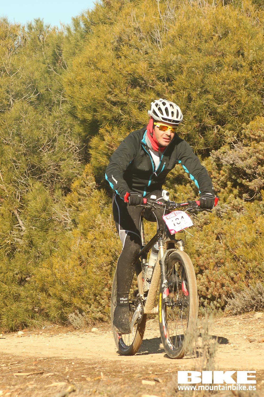Valdemorillo 2015 Galeria 4