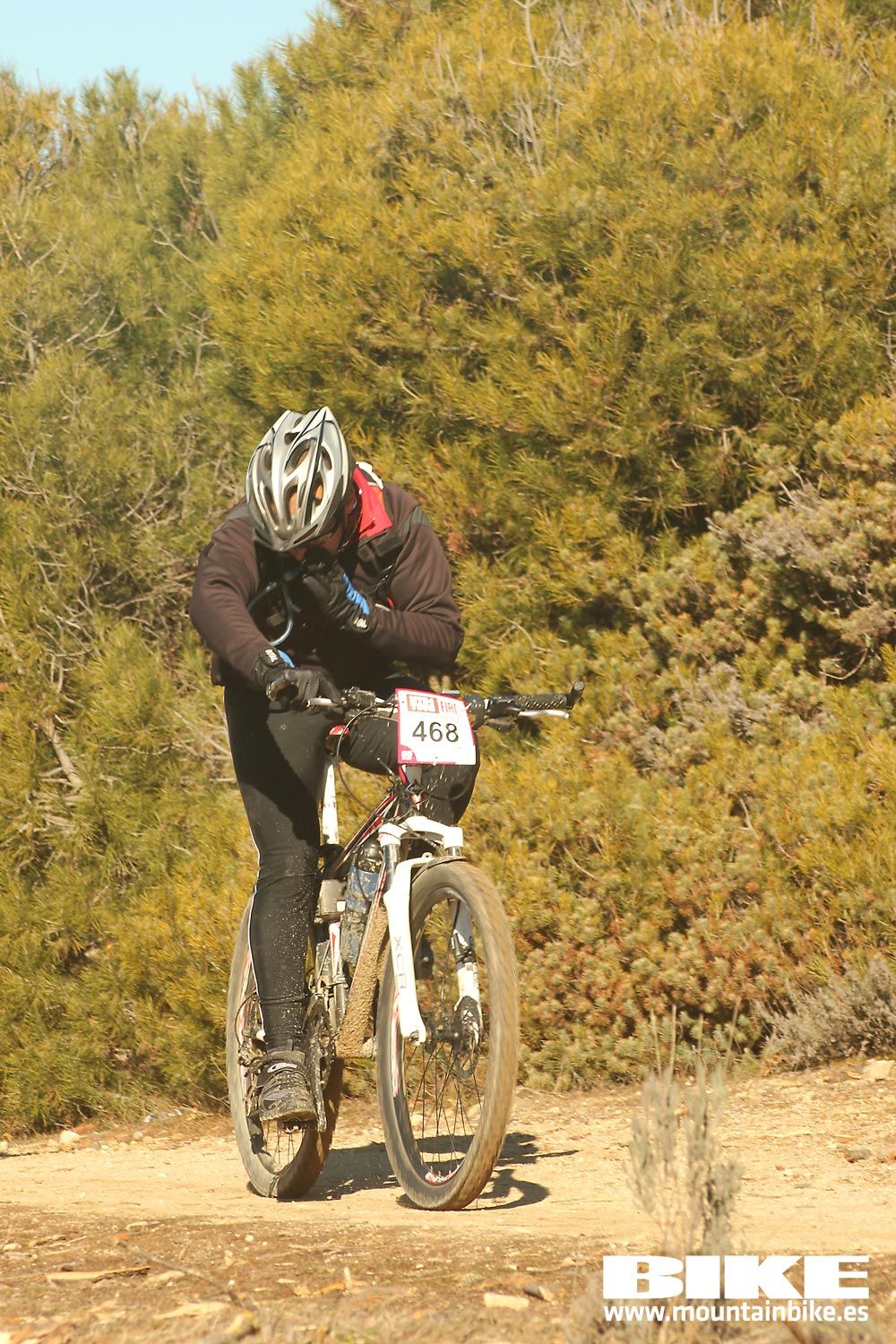 Valdemorillo 2015 Galeria 4