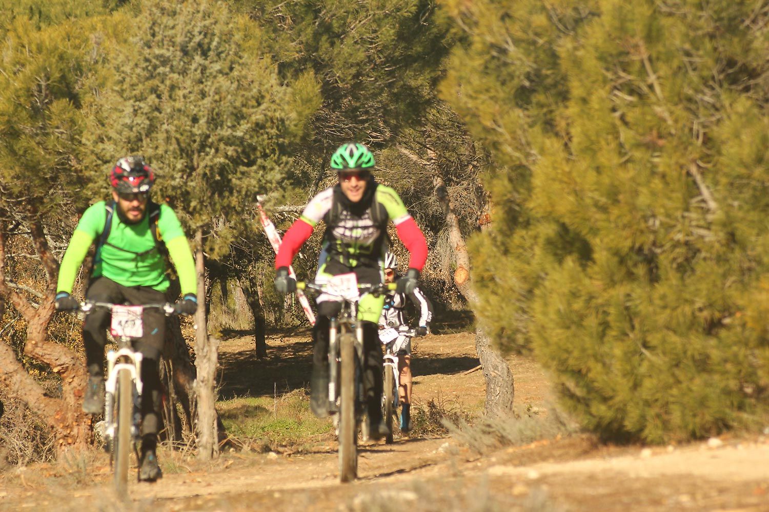 Valdemorillo 2015 Galeria 4