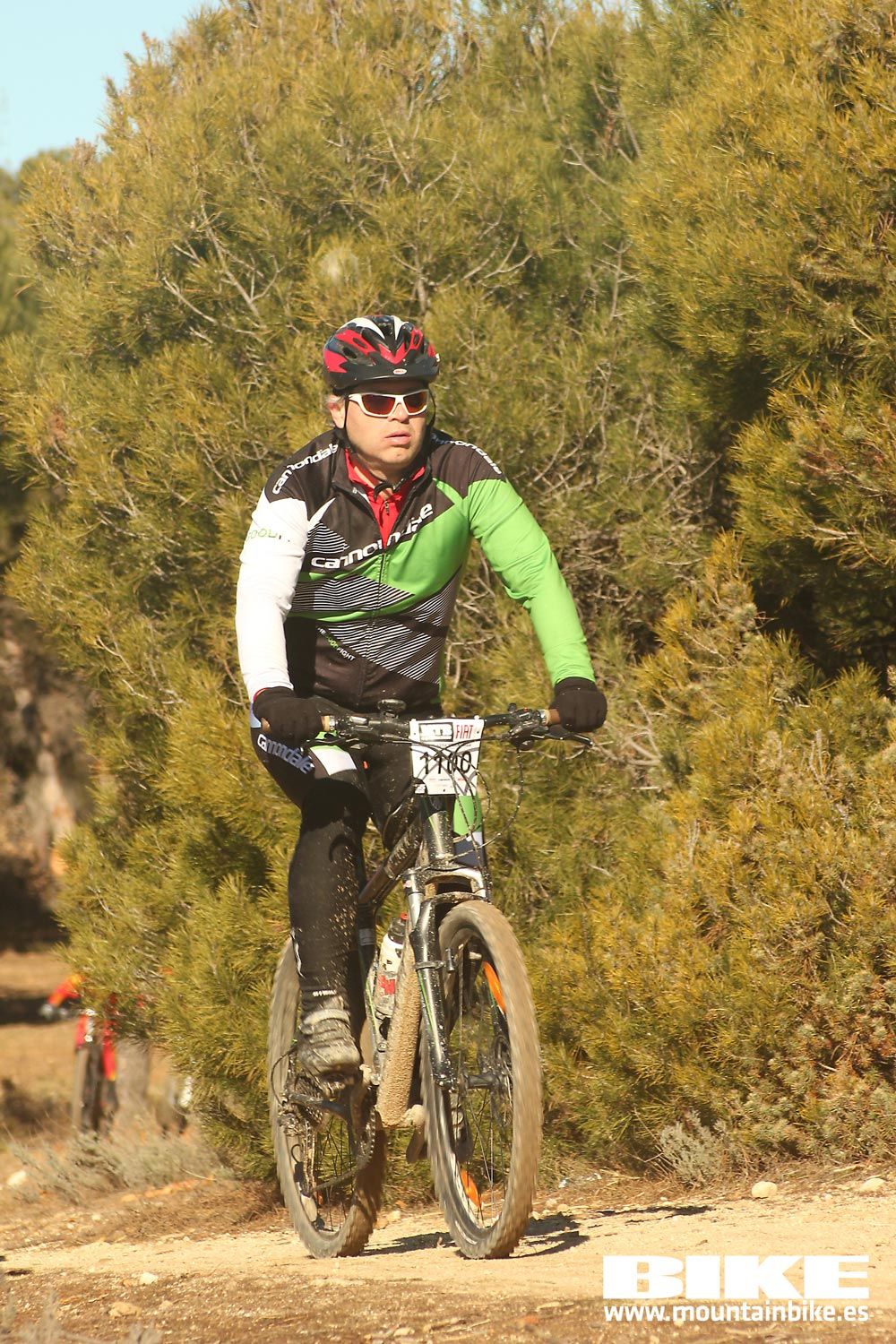Valdemorillo 2015 Galeria 4