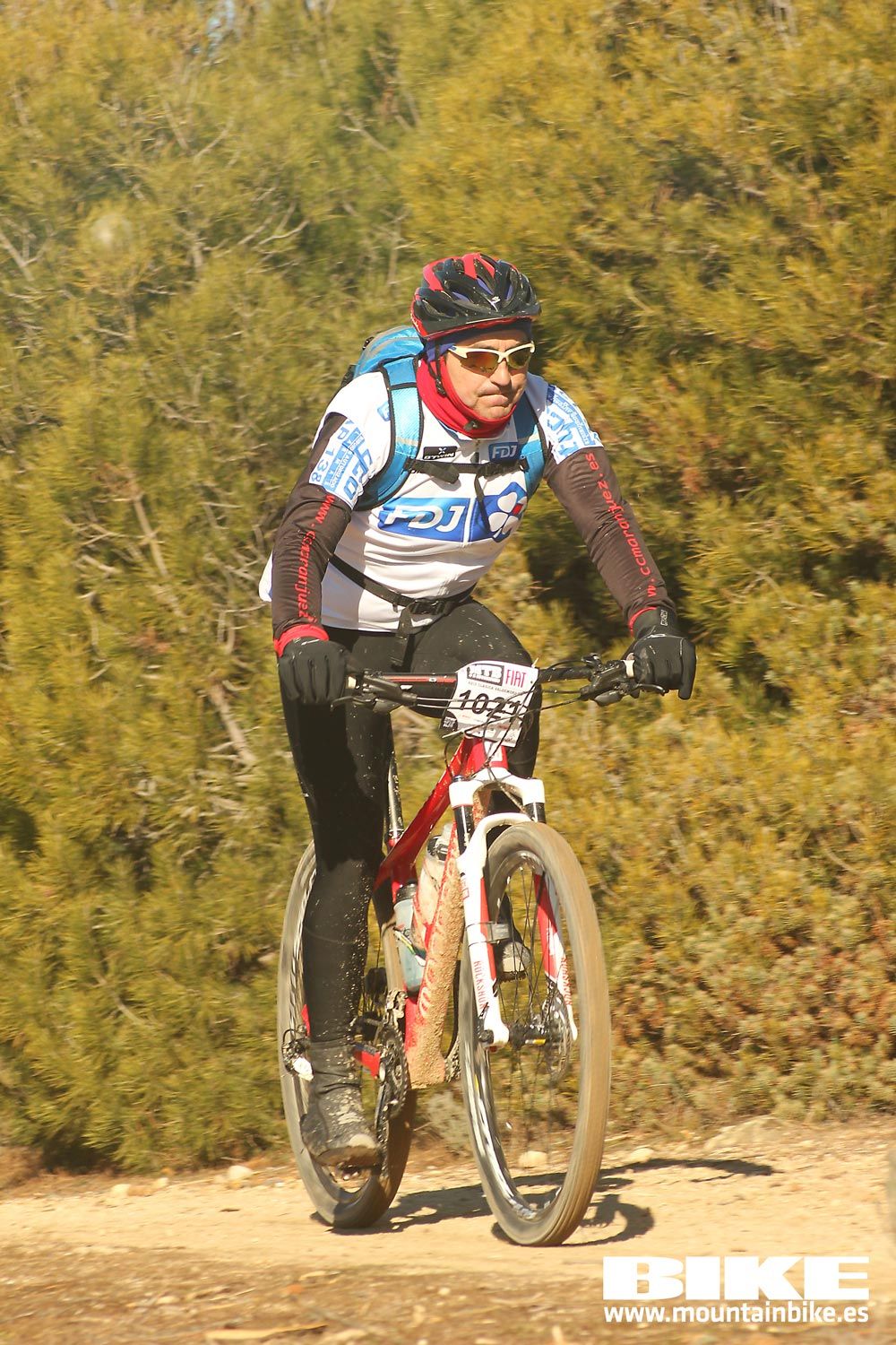 Valdemorillo 2015 Galeria 4