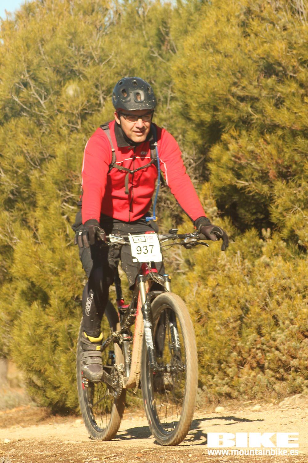 Valdemorillo 2015 Galeria 4