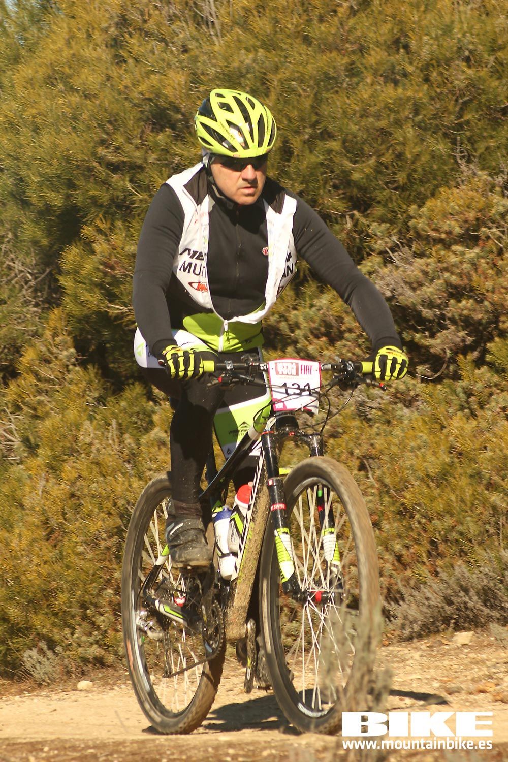 Valdemorillo 2015 Galeria 4