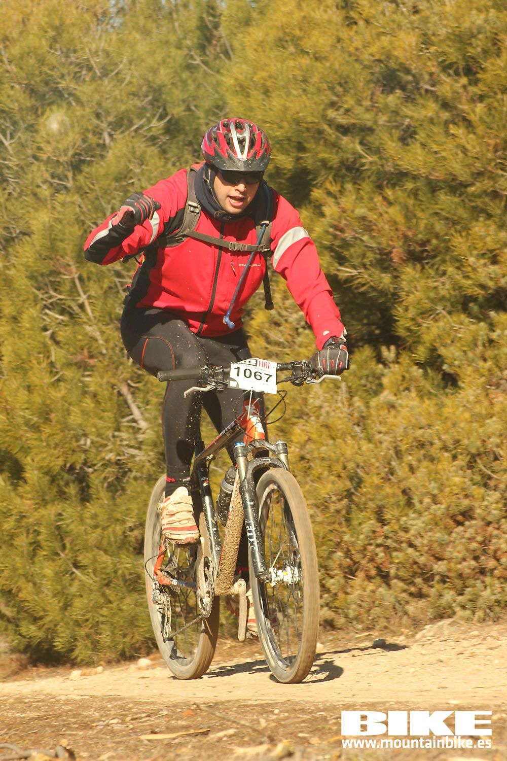 Valdemorillo 2015 Galeria 4