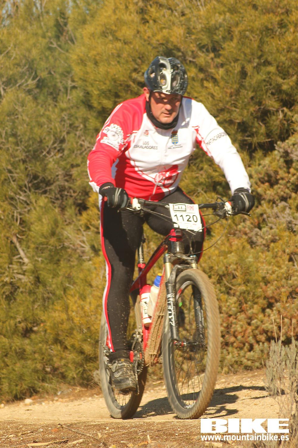 Valdemorillo 2015 Galeria 4