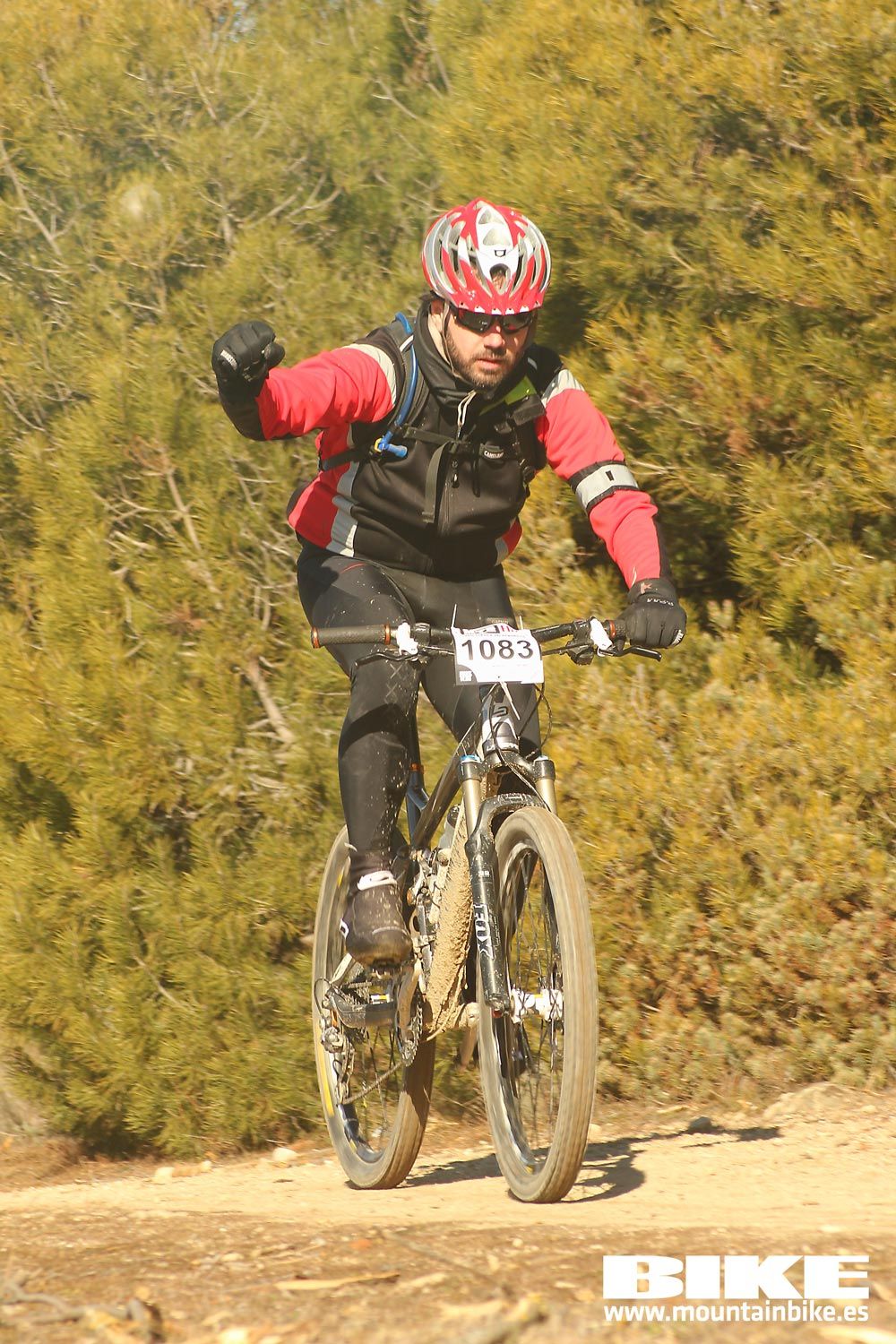 Valdemorillo 2015 Galeria 4