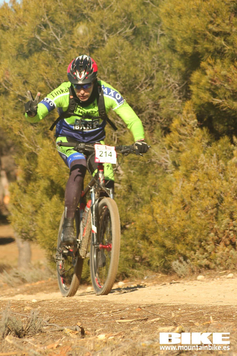Valdemorillo 2015 Galeria 4