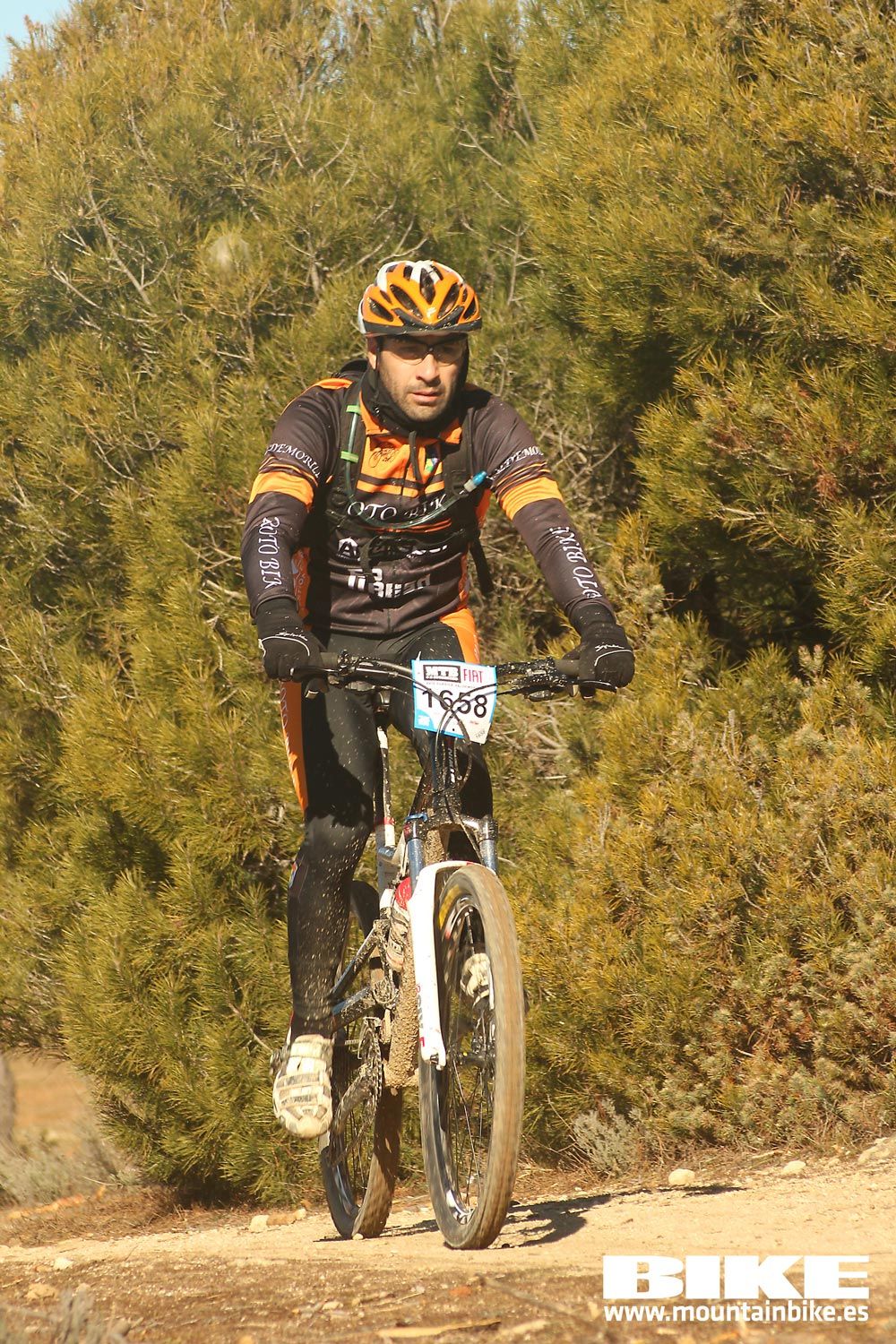 Valdemorillo 2015 Galeria 4