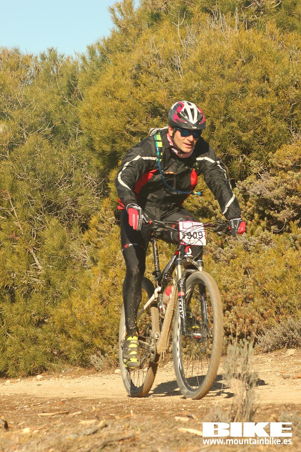 Valdemorillo 2015 Galeria 4