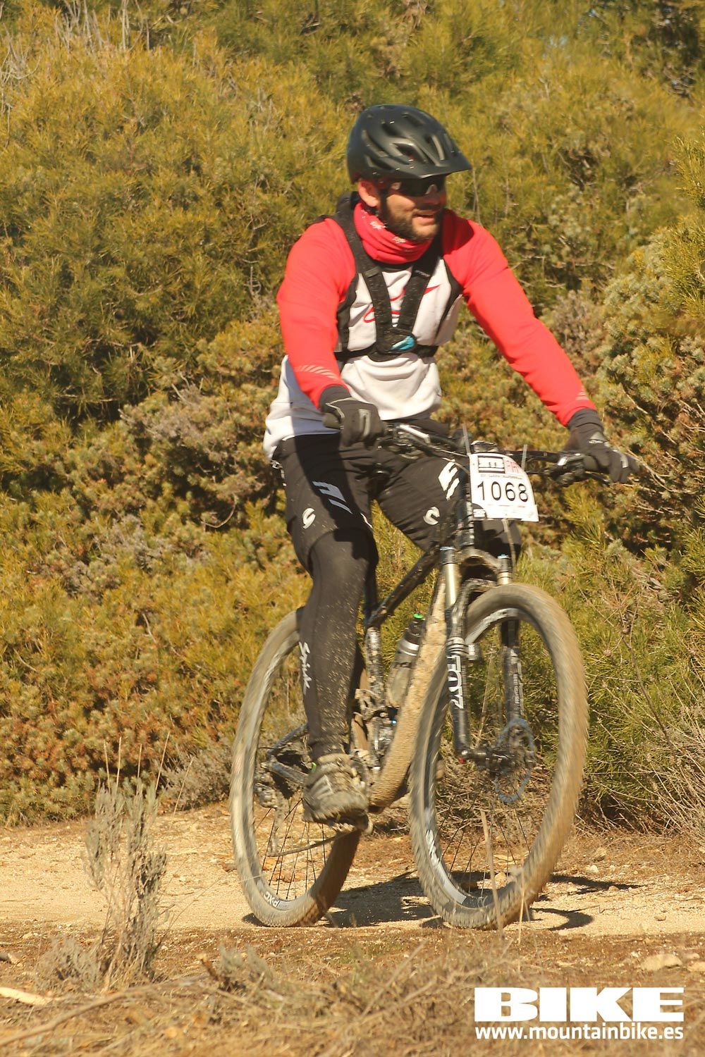 Valdemorillo 2015 Galeria 4