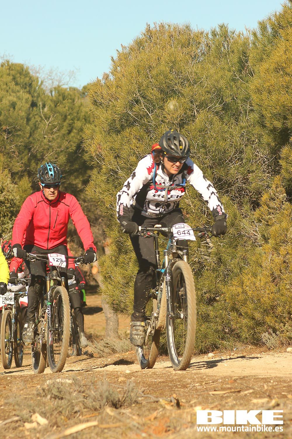 Valdemorillo 2015 Galeria 4