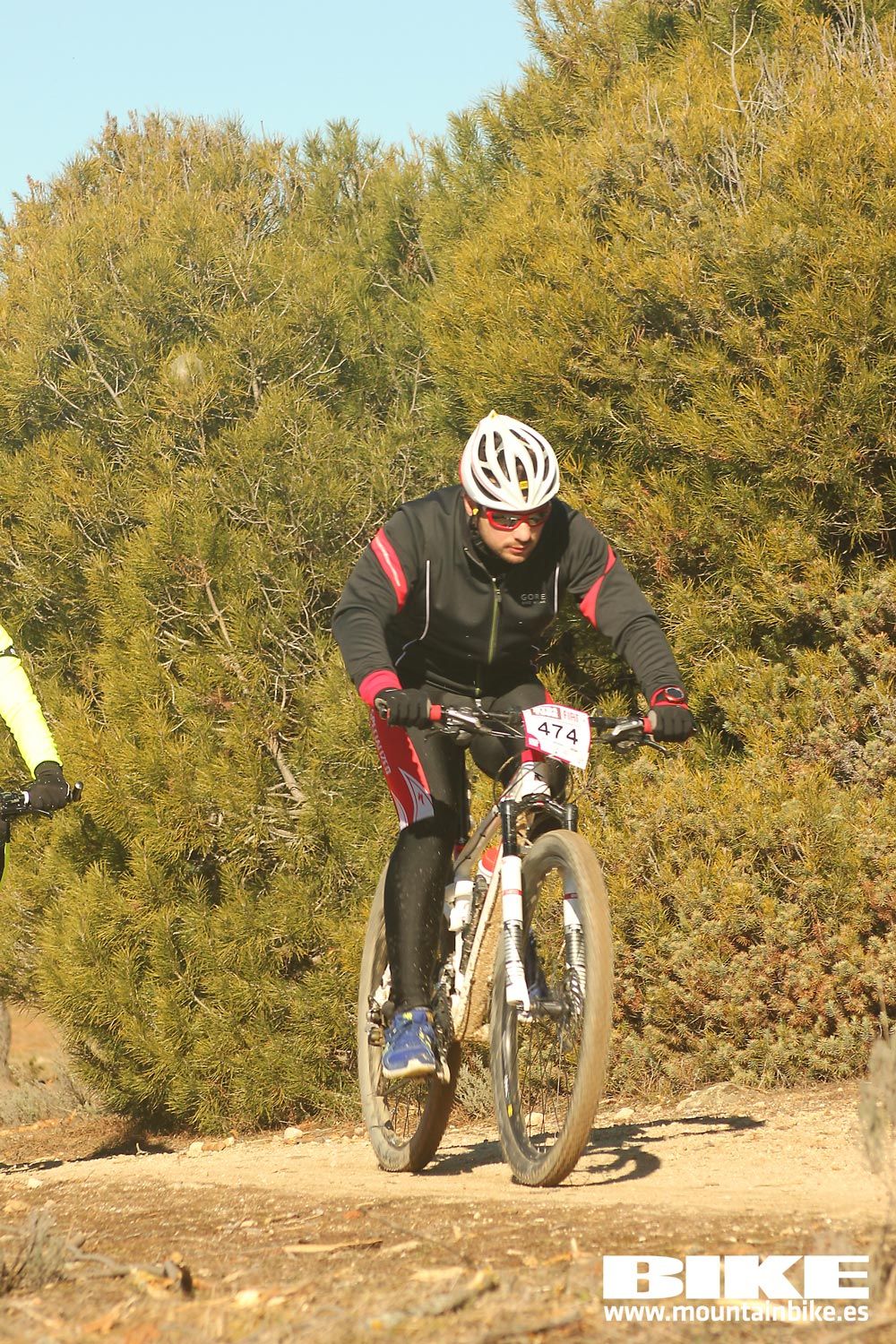 Valdemorillo 2015 Galeria 4
