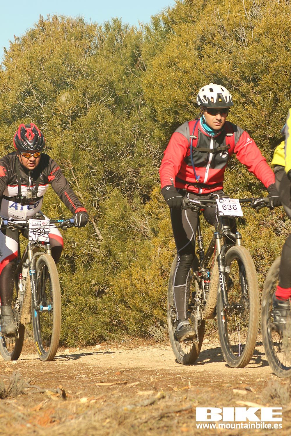 Valdemorillo 2015 Galeria 4