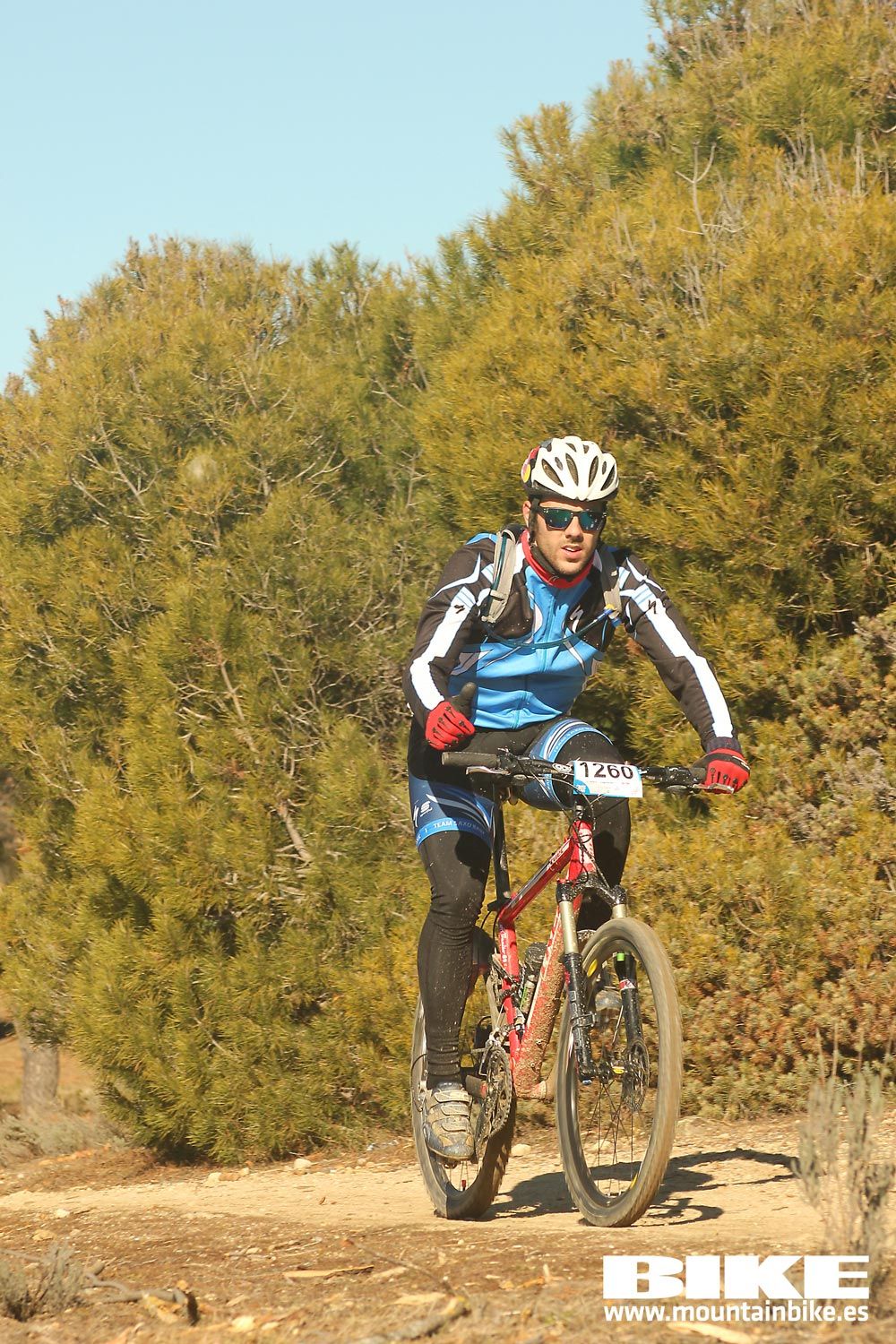 Valdemorillo 2015 Galeria 5