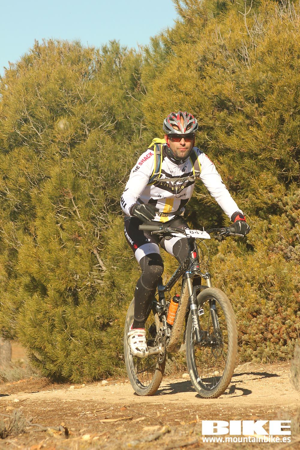 Valdemorillo 2015 Galeria 4