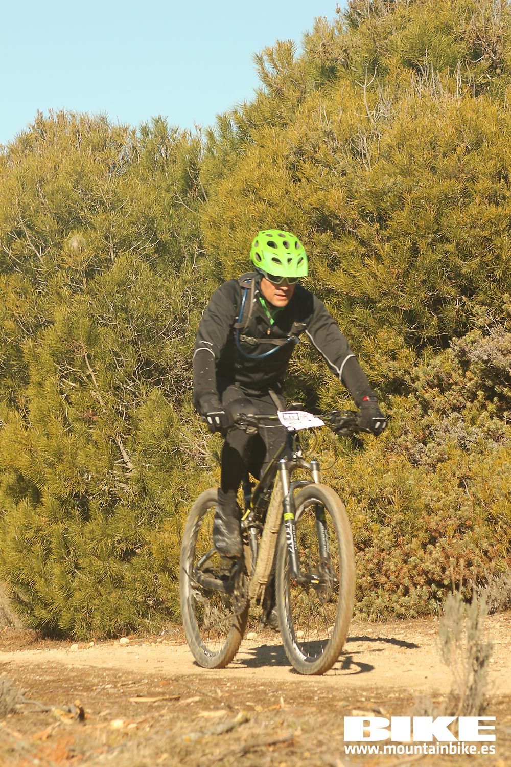 Valdemorillo 2015 Galeria 5