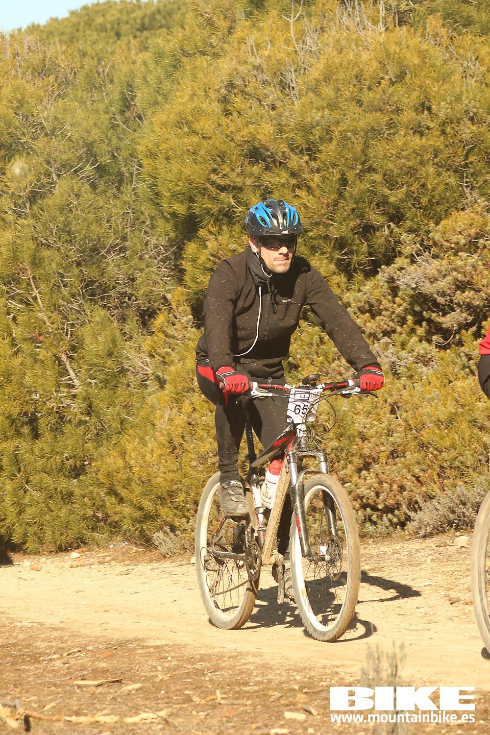 Valdemorillo 2015 Galeria 5
