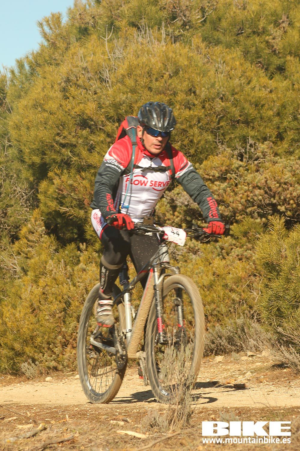 Valdemorillo 2015 Galeria 5
