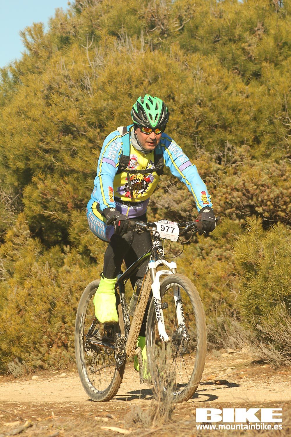 Valdemorillo 2015 Galeria 5