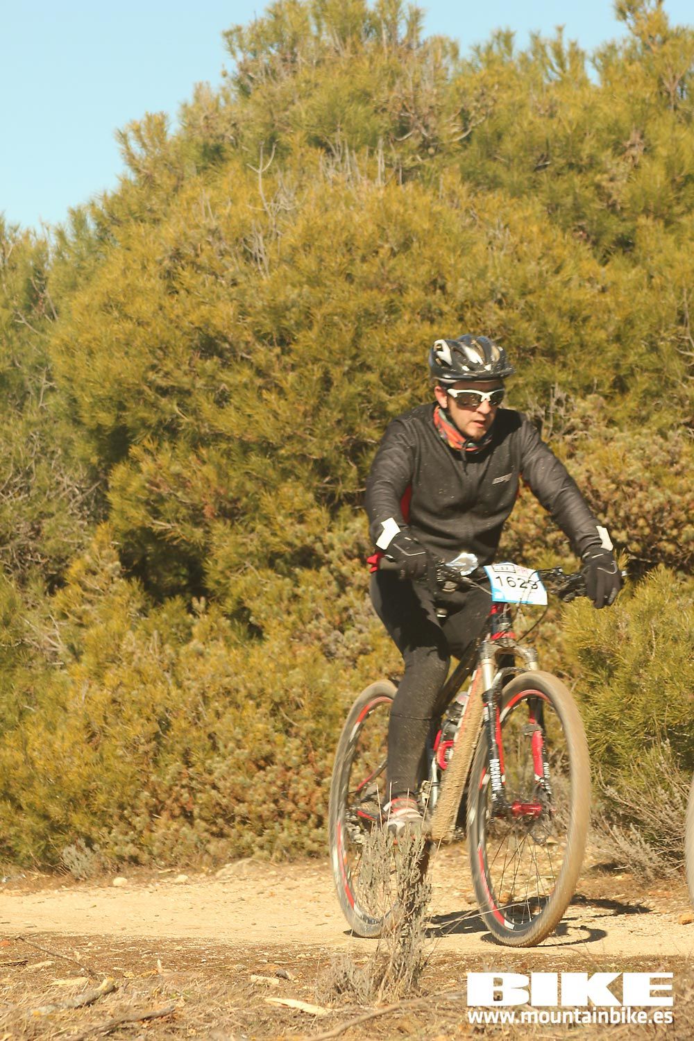 Valdemorillo 2015 Galeria 5